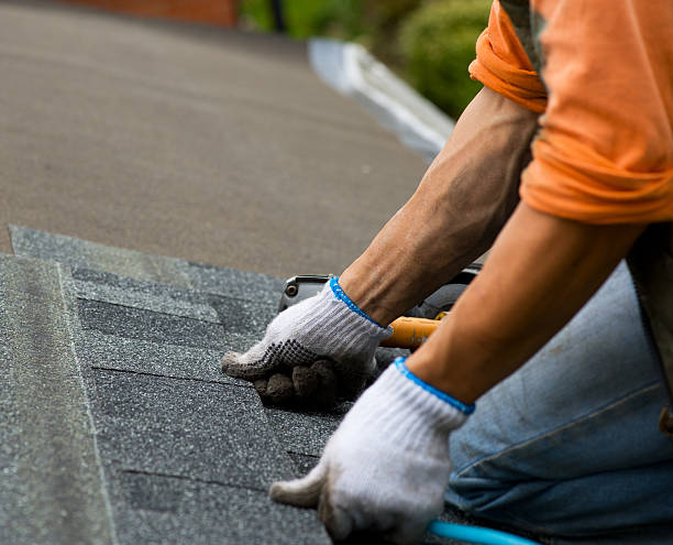 Best Local Roofing Companies  in Fremont, NE